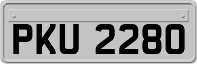 PKU2280
