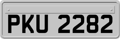 PKU2282