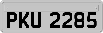 PKU2285