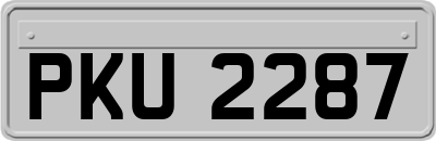 PKU2287