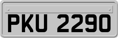 PKU2290