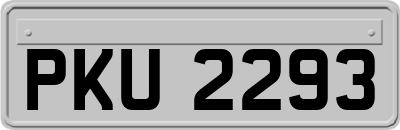 PKU2293