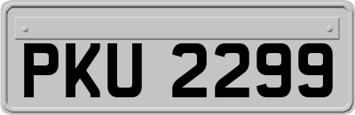 PKU2299