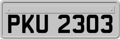 PKU2303