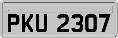 PKU2307