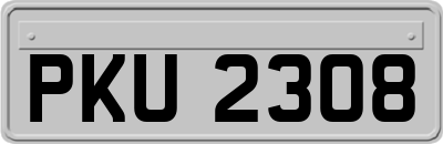 PKU2308