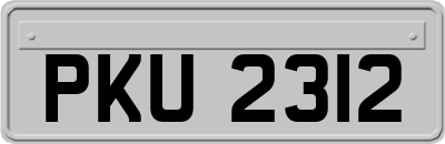 PKU2312
