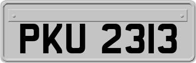 PKU2313