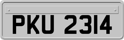 PKU2314
