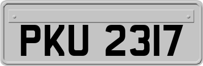 PKU2317