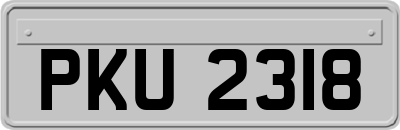 PKU2318