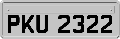 PKU2322