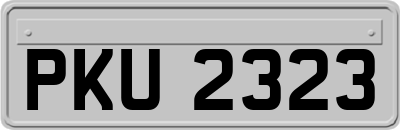 PKU2323