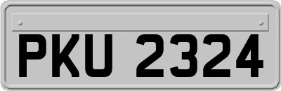 PKU2324
