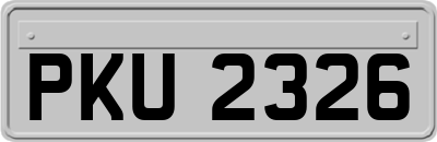 PKU2326