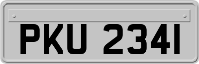 PKU2341