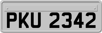 PKU2342