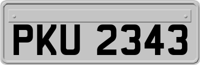 PKU2343