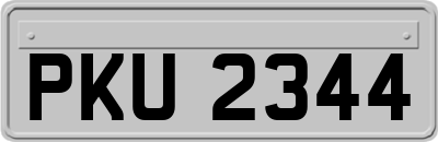 PKU2344
