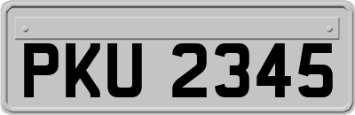 PKU2345