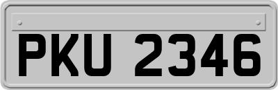 PKU2346