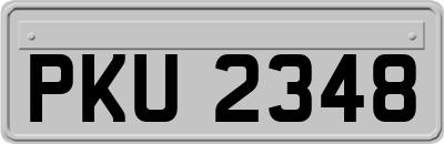 PKU2348