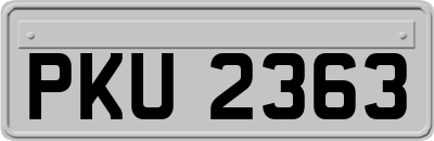 PKU2363