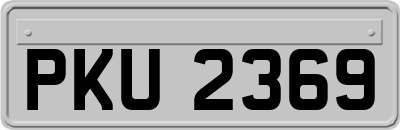 PKU2369