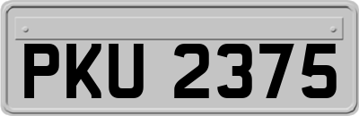 PKU2375