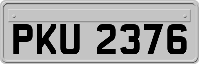 PKU2376