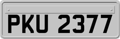 PKU2377