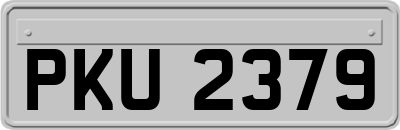 PKU2379