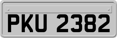 PKU2382