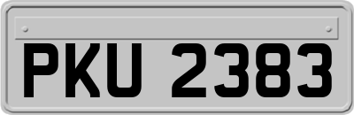 PKU2383