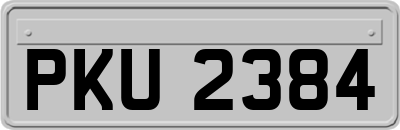 PKU2384