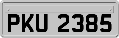 PKU2385