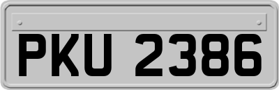 PKU2386