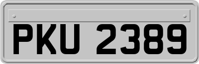 PKU2389