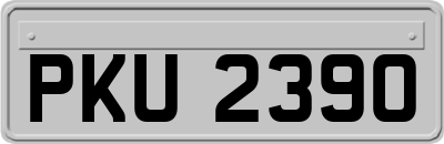 PKU2390