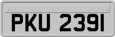 PKU2391