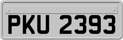 PKU2393
