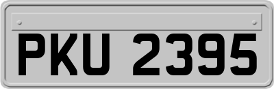 PKU2395