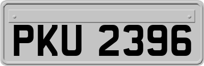 PKU2396