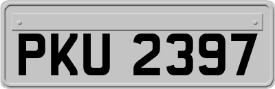 PKU2397