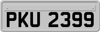 PKU2399