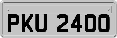 PKU2400