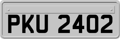 PKU2402