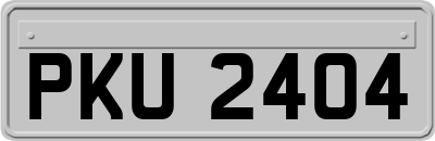 PKU2404