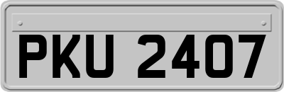PKU2407