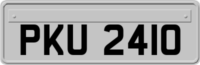 PKU2410